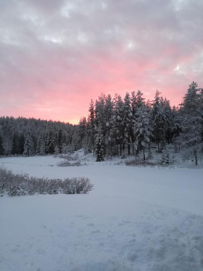 Presterudveien 125 Vikersund Exterior foto